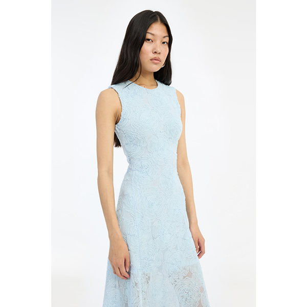Mesh Maxi Dress Plein Air