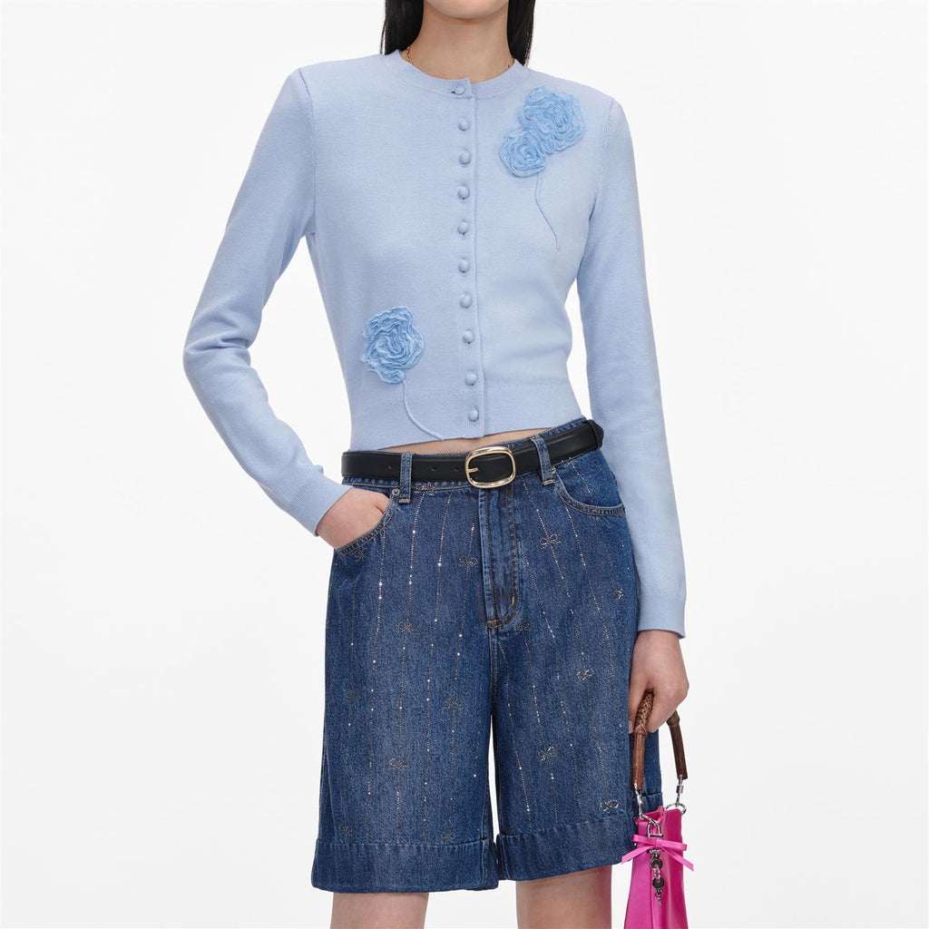 Rhinestone Stripe Denim Shorts Blue
