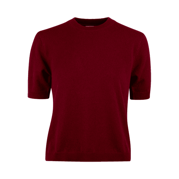 Janet Short Sleeve dark red