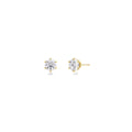 Crown Studs Gold