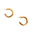 The Etruscan Reminder Earrings