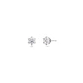 Crown Studs Steel