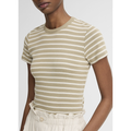 Stripe Shrunken 90s Tee Salted Moss Combo