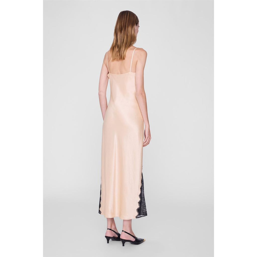 Judy Dress Golden Beige and Black Lace