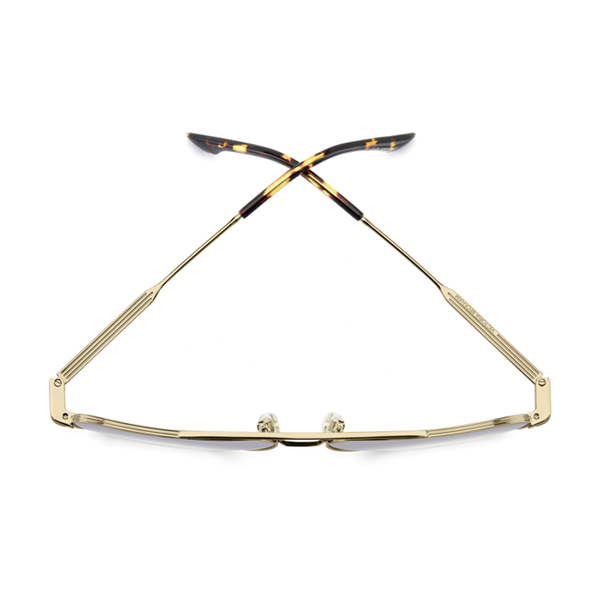 VB1007/S Sunglasses Gold
